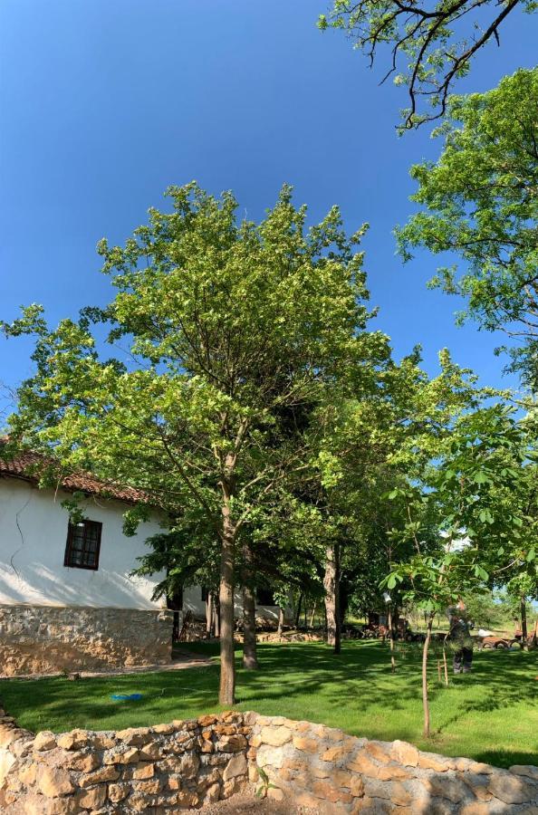 Konaciste Mali Izvor Βίλα Boljevac Εξωτερικό φωτογραφία