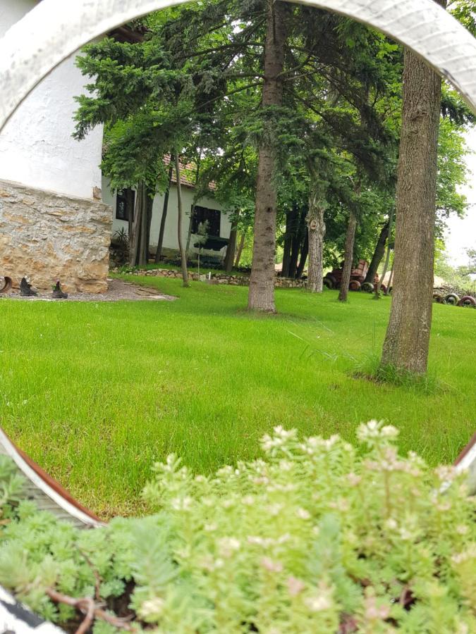 Konaciste Mali Izvor Βίλα Boljevac Εξωτερικό φωτογραφία